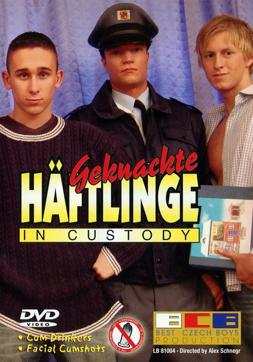 Geknackte Häftlinge: In Custody — постер