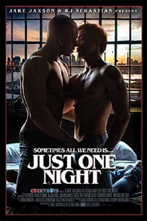 Just One Night — постер