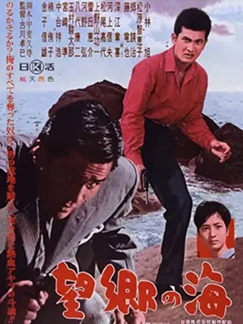 望郷の海 — постер