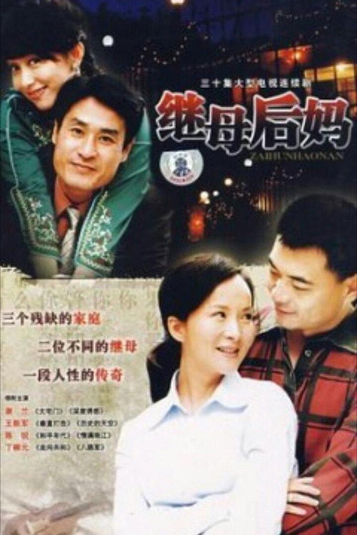 继母后妈 — постер