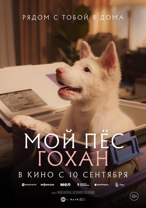 Мой пёс Гохан — постер