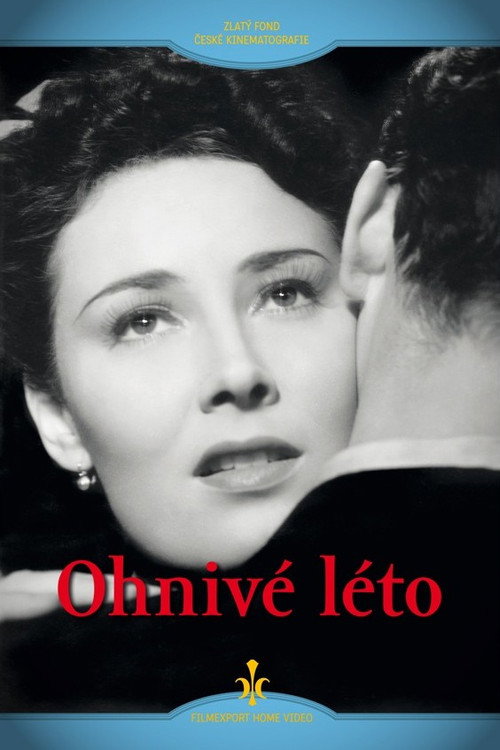 Огненное лето — постер
