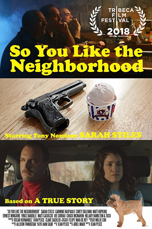So You Like the Neighborhood — постер