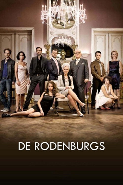 De Rodenburgs — постер