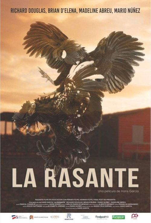 La Rasante — постер