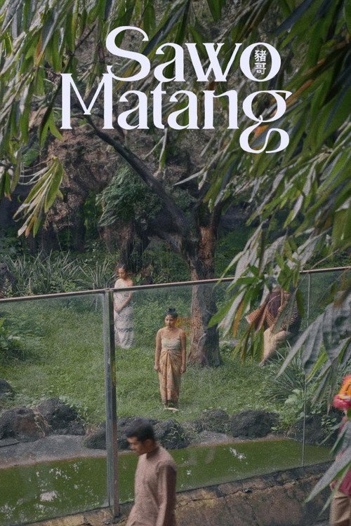 Sawo Matang — постер
