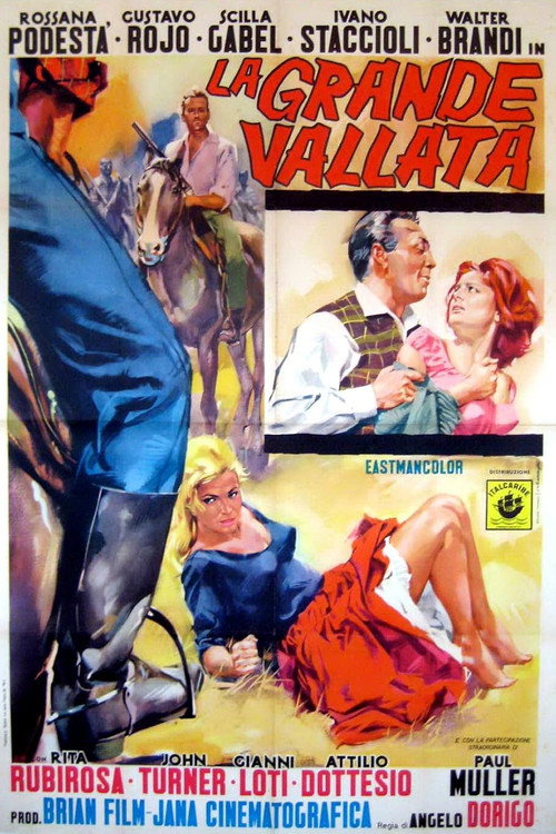 La grande vallata — постер