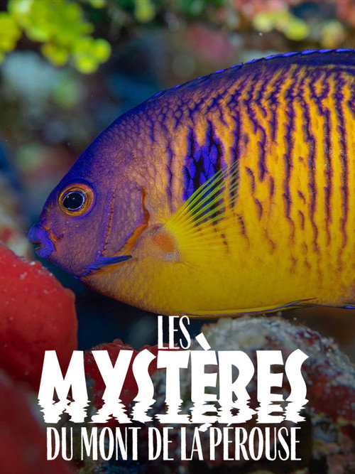 Les Mystères du mont La Pérouse — постер