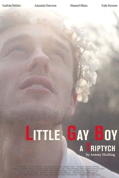 Little Gay Boy — постер