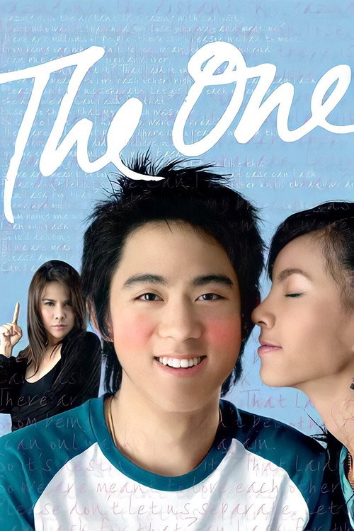 ลิขิตรัก ขัดใจแม่ — постер
