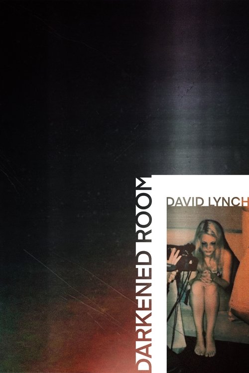 Darkened Room — постер