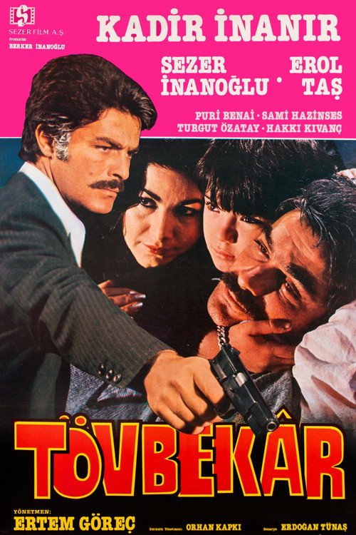 Tövbekar — постер
