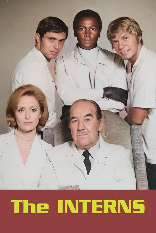 The Interns — постер