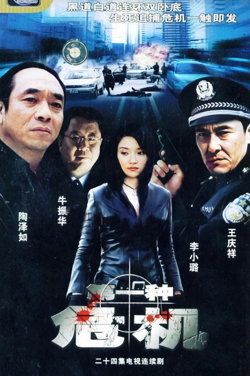 第一种危机 — постер