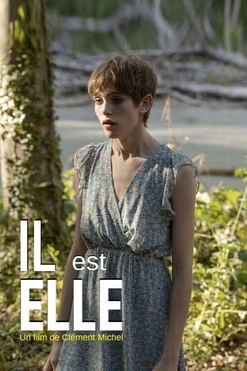 Il est elle — постер