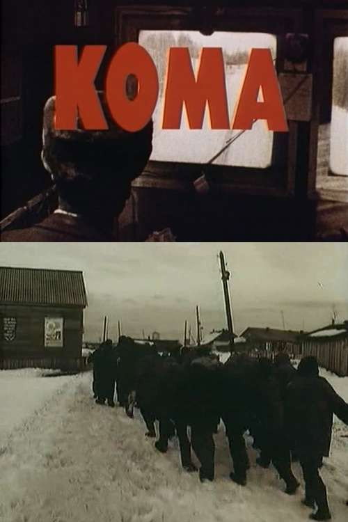 Кома — постер