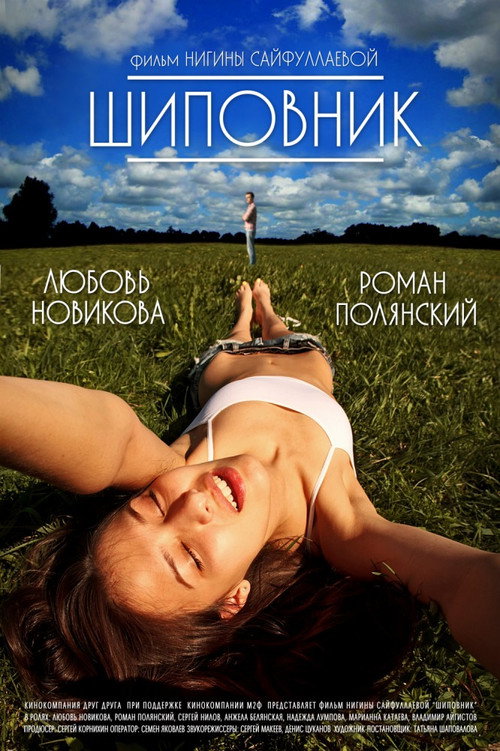 Шиповник — постер