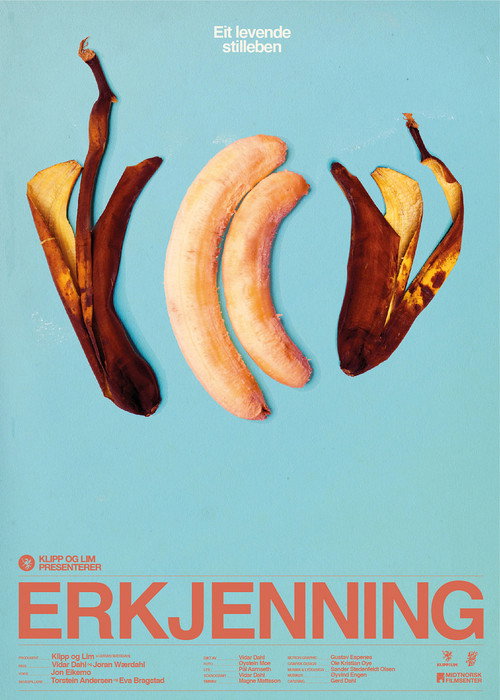 Erkjenning — постер
