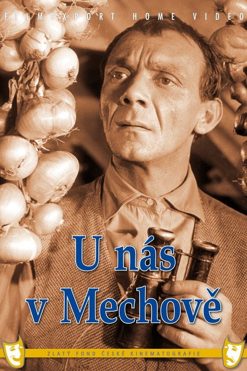 U nás v Mechově — постер