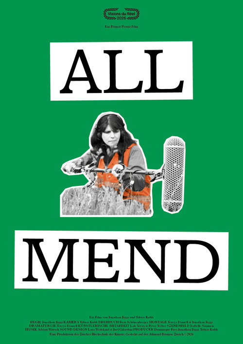 Allmend — постер