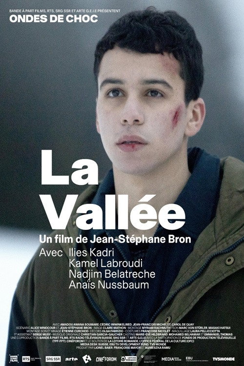La Vallée — постер