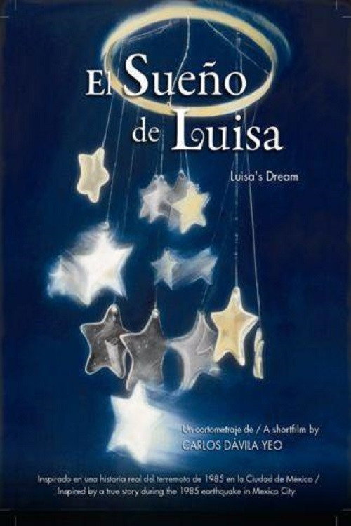El sueño de Luisa — постер