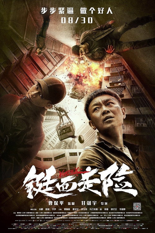 铤而走险 — постер