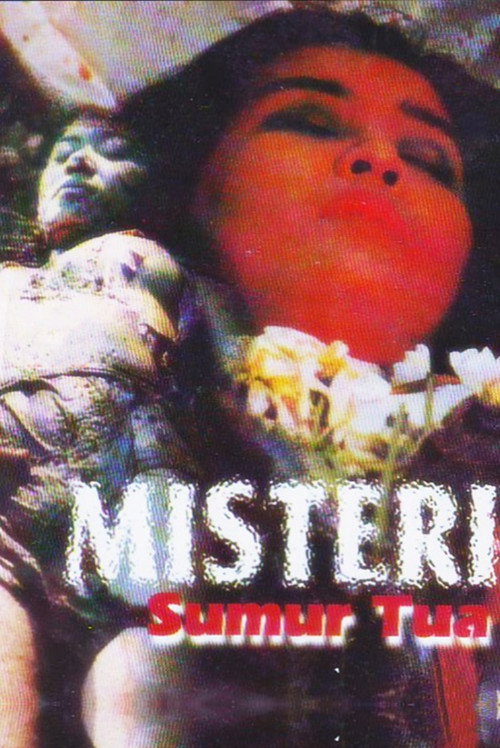 Misteri Sumur Tua — постер