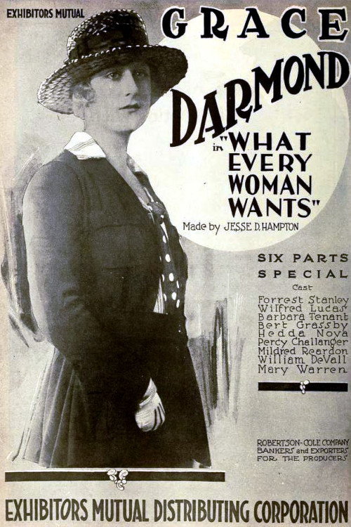 What Every Woman Wants — постер