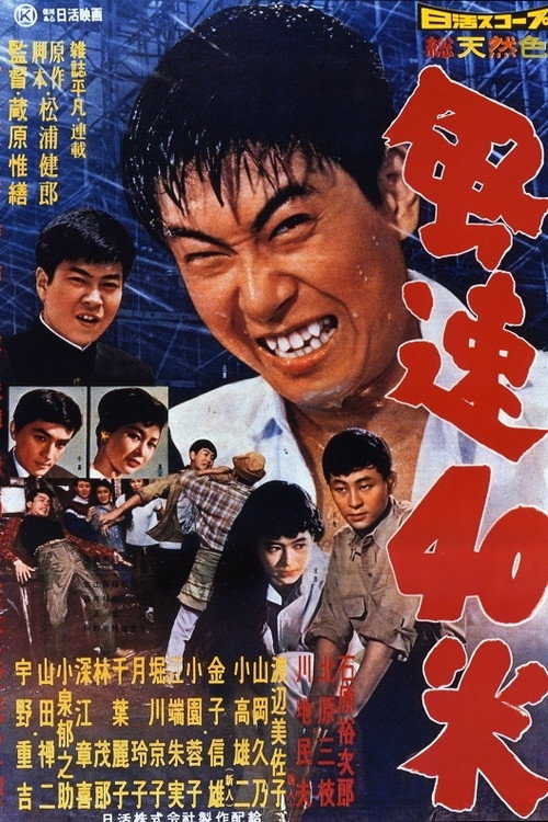 風速40米 — постер