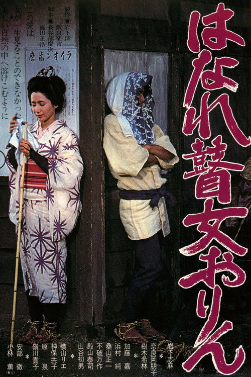 はなれ瞽女おりん — постер