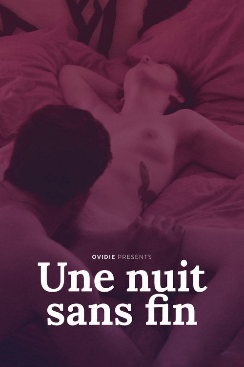 Une nuit sans fin — постер