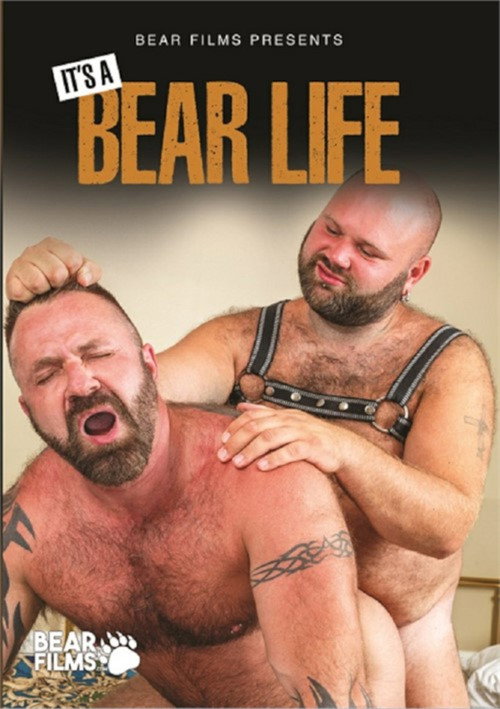 It's a Bear Life — постер
