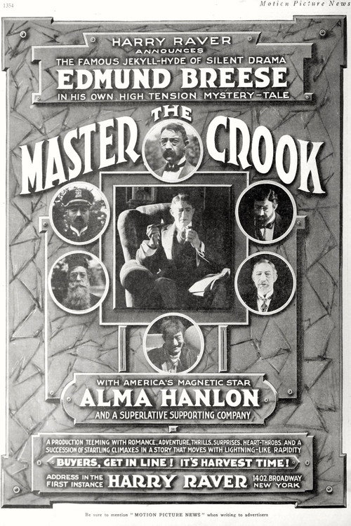 The Master Crook — постер