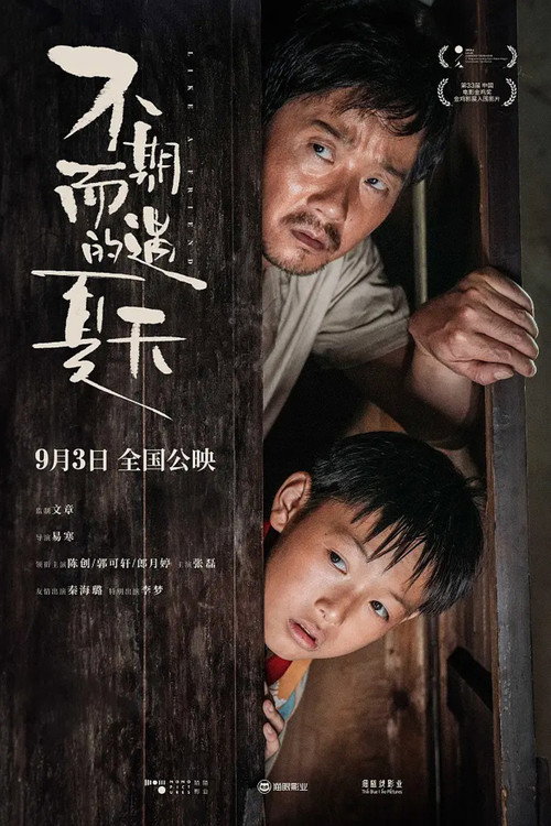 不期而遇的夏天 — постер