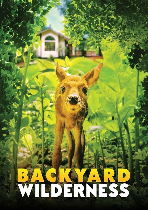 Backyard Wilderness — постер