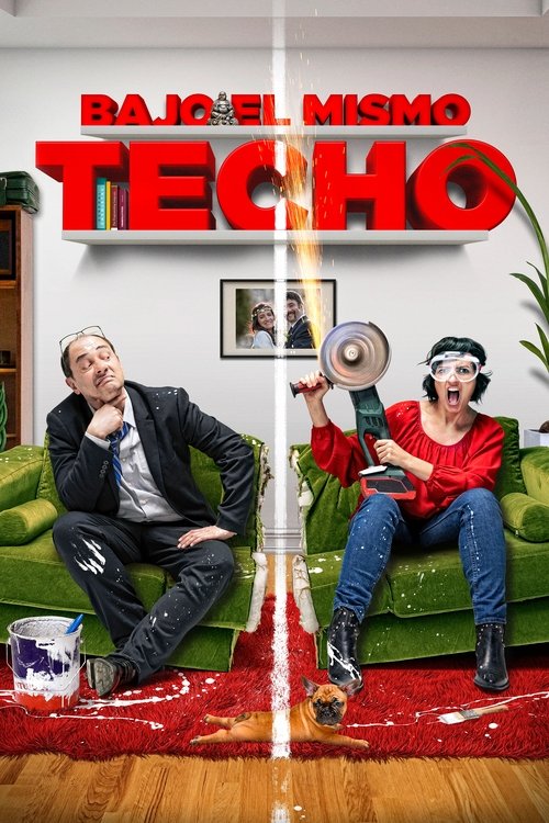Bajo el mismo techo — постер