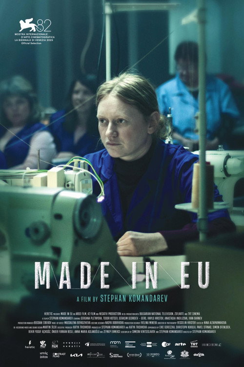 Made in EU — постер