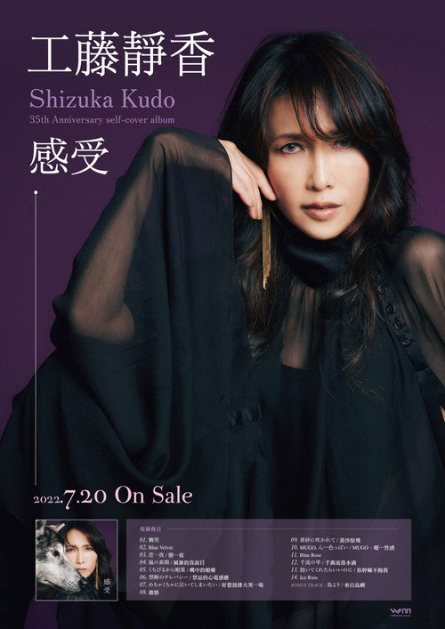 Shizuka Kudo 35th Anniversary Tour 2022 — постер