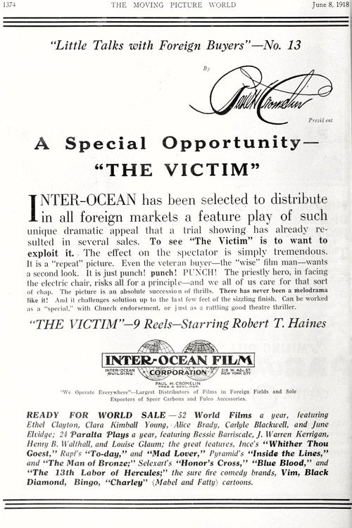 The Victim — постер