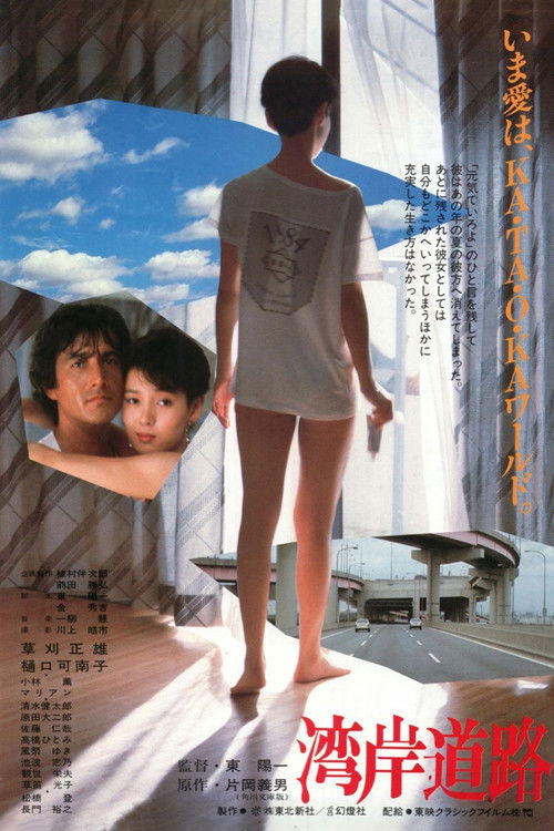湾岸道路 — постер