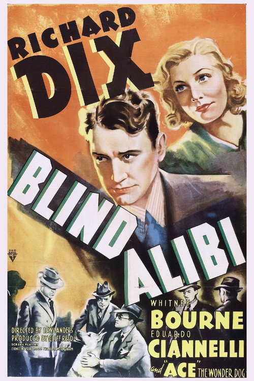 Blind Alibi — постер