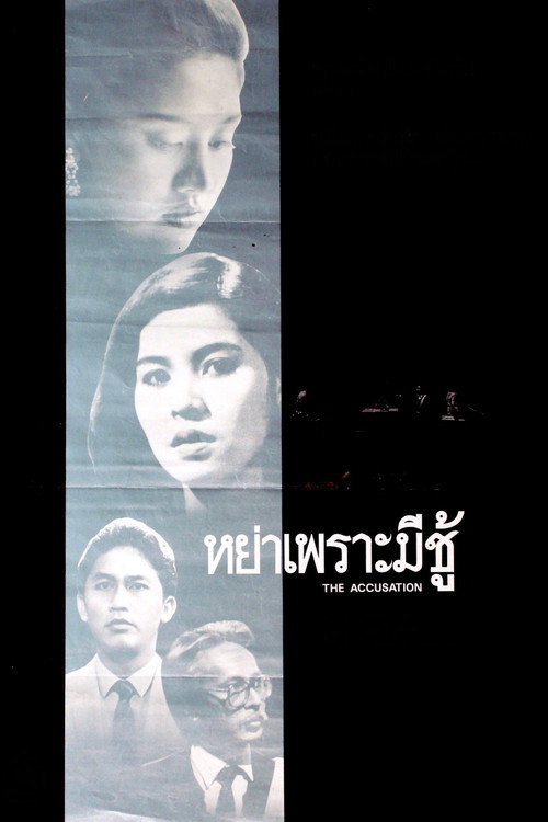 หย่าเพราะมีชู้ — постер