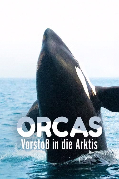 Orcas - Vorstoss in die Arktis — постер