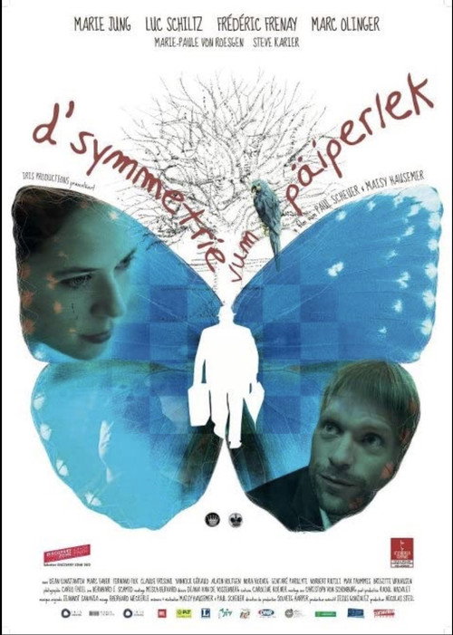 D'Symmetrie vum Päiperlek — постер