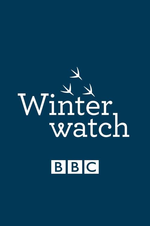 Winterwatch — постер