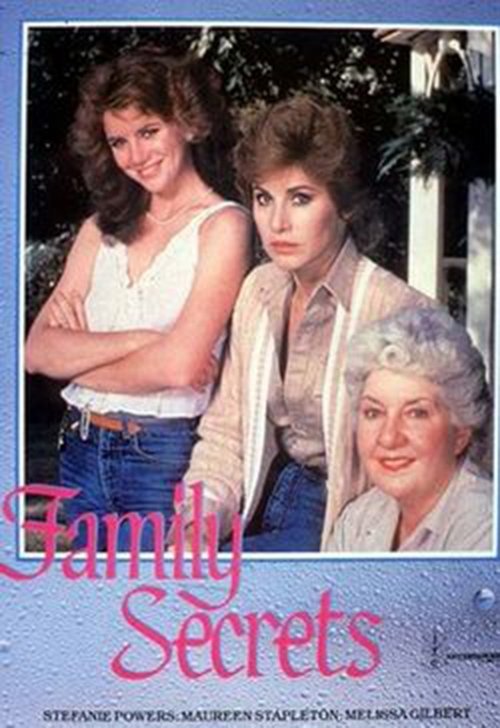 Family Secrets — постер
