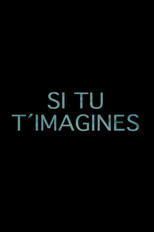 Si tu t'imagines — постер