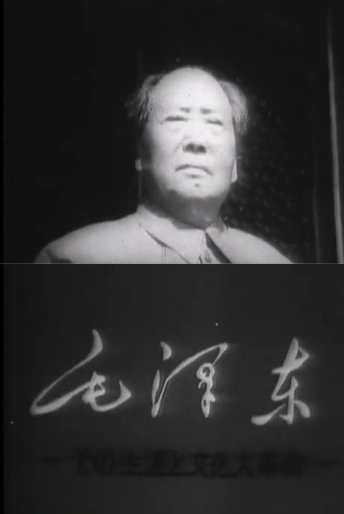 毛沢東--その生涯と文化大革命-- — постер