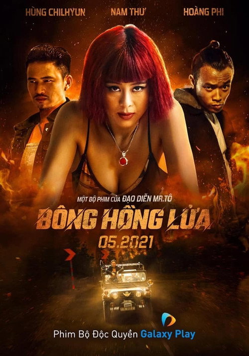 Bông Hồng Lửa — постер